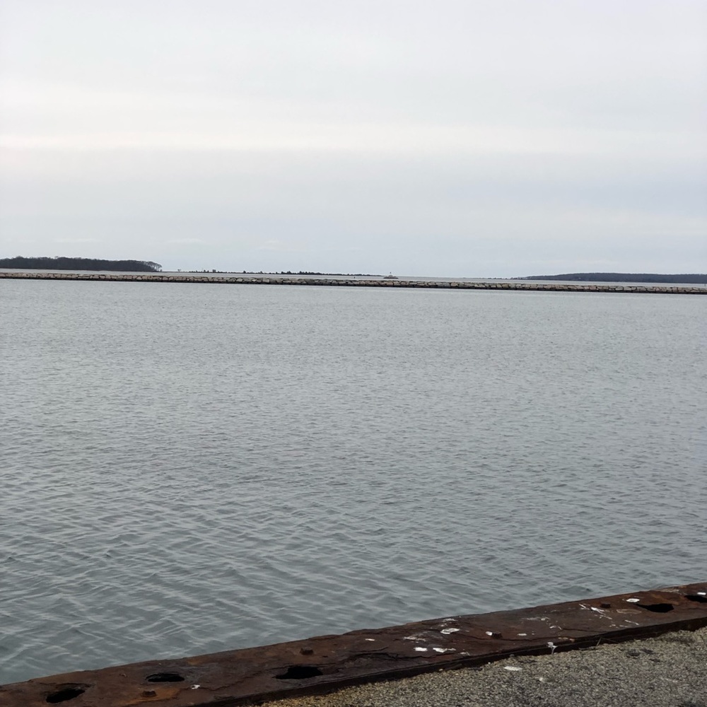 Meet your Posher, Terence